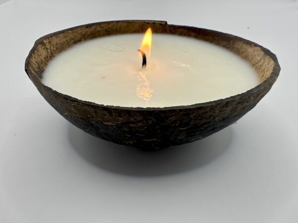 Coconut Shell Candle
