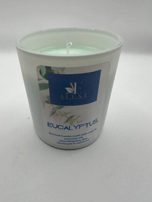 Eucalyptus Candle - Image 2