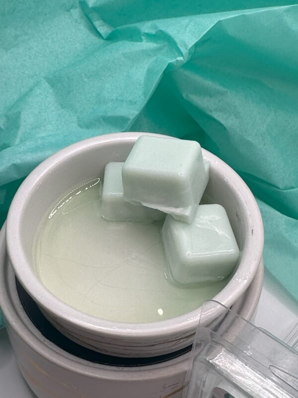 Eucalyptus Wax Melt - Image 4