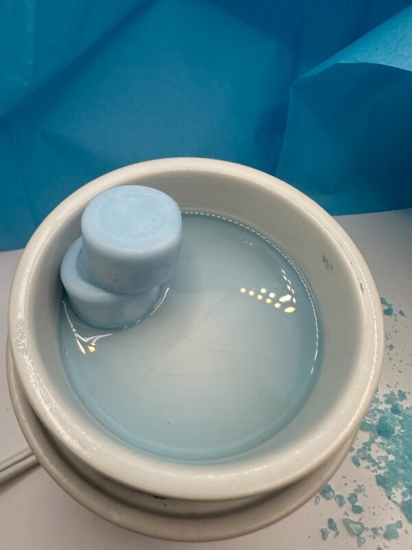 Sea Minerals Wax Melt - Image 2